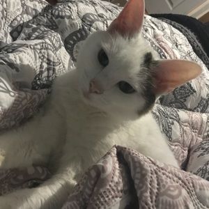 Meet your Posher, Jai